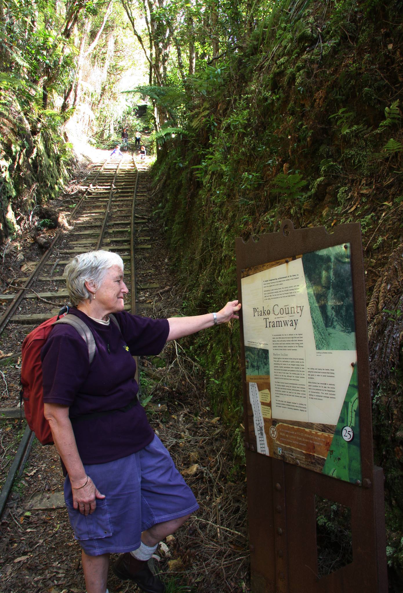 Waiorongomai Valley tramping tracks